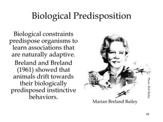 48 
Biological Predisposition 
Biological constraints 
predispose organisms to 
learn associations that 
are naturally adaptive. 
Breland and Breland 
(1961) showed that 
animals drift towards 
their biologically 
predisposed instinctive 
behaviors. 
Marian Breland Bailey 
Photo: Bob Bailey 
 