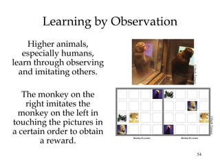 54 
Learning by Observation 
Higher animals, 
especially humans, 
learn through observing 
and imitating others. 
The monkey on the 
right imitates the 
monkey on the left in 
touching the pictures in 
a certain order to obtain 
a reward. 
© Herb Terrace 
©Herb Terrace 
 