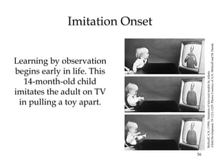 56 
Imitation Onset 
Learning by observation 
begins early in life. This 
14-month-old child 
imitates the adult on TV 
in pulling a toy apart. 
Meltzoff, A.N. (1998). Imitation of televised models by infants. 
Child Development, 59 1221-1229. Photos Courtesy of A.N. Meltzoff and M. Hanuk. 
 