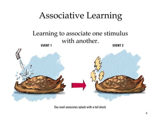 8 
Associative Learning 
Learning to associate one stimulus 
with another. 
 
