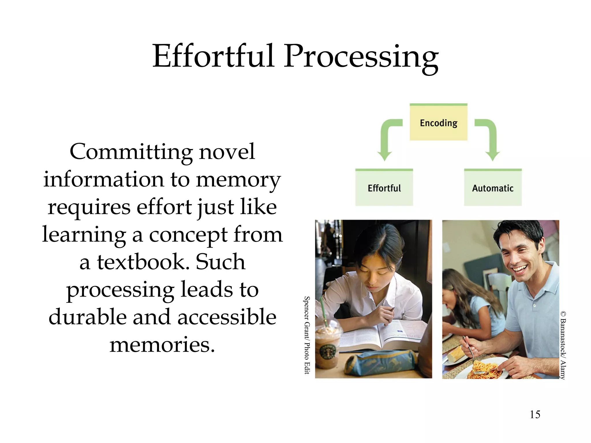 15
Effortful Processing
Committing novel
information to memory
requires effort just like
learning a concept from
a textbook. Such
processing leads to
durable and accessible
memories.
SpencerGrant/PhotoEdit
©Bananastock/Alamy
 