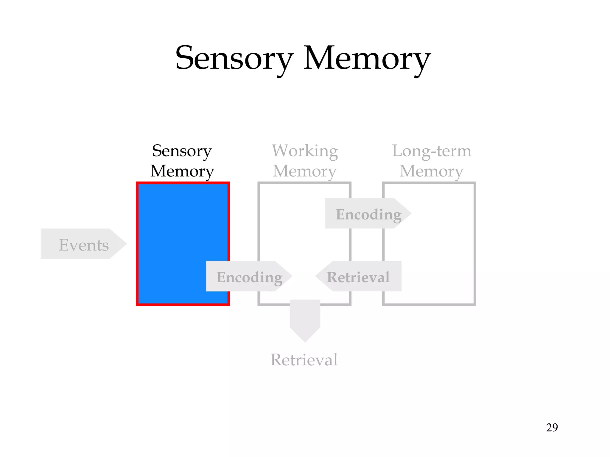 29
Sensory Memory
Sensory
Memory
Working
Memory
Long-term
Memory
Encoding
RetrievalEncoding
Events
Retrieval
 