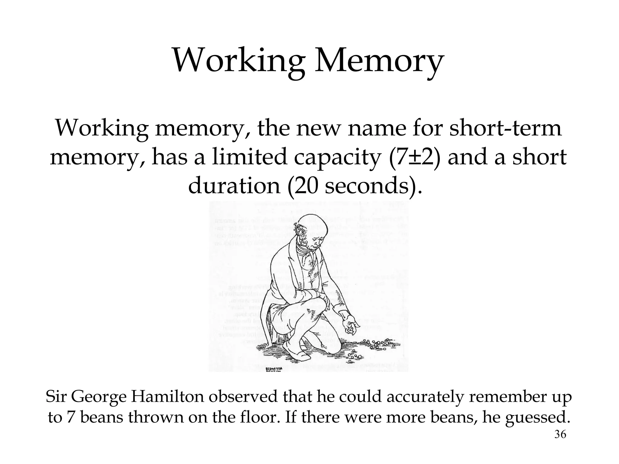 36
Working Memory
Working memory, the new name for short-term
memory, has a limited capacity (7±2) and a short
duration (20 seconds).
Sir George Hamilton observed that he could accurately remember up
to 7 beans thrown on the floor. If there were more beans, he guessed.
 