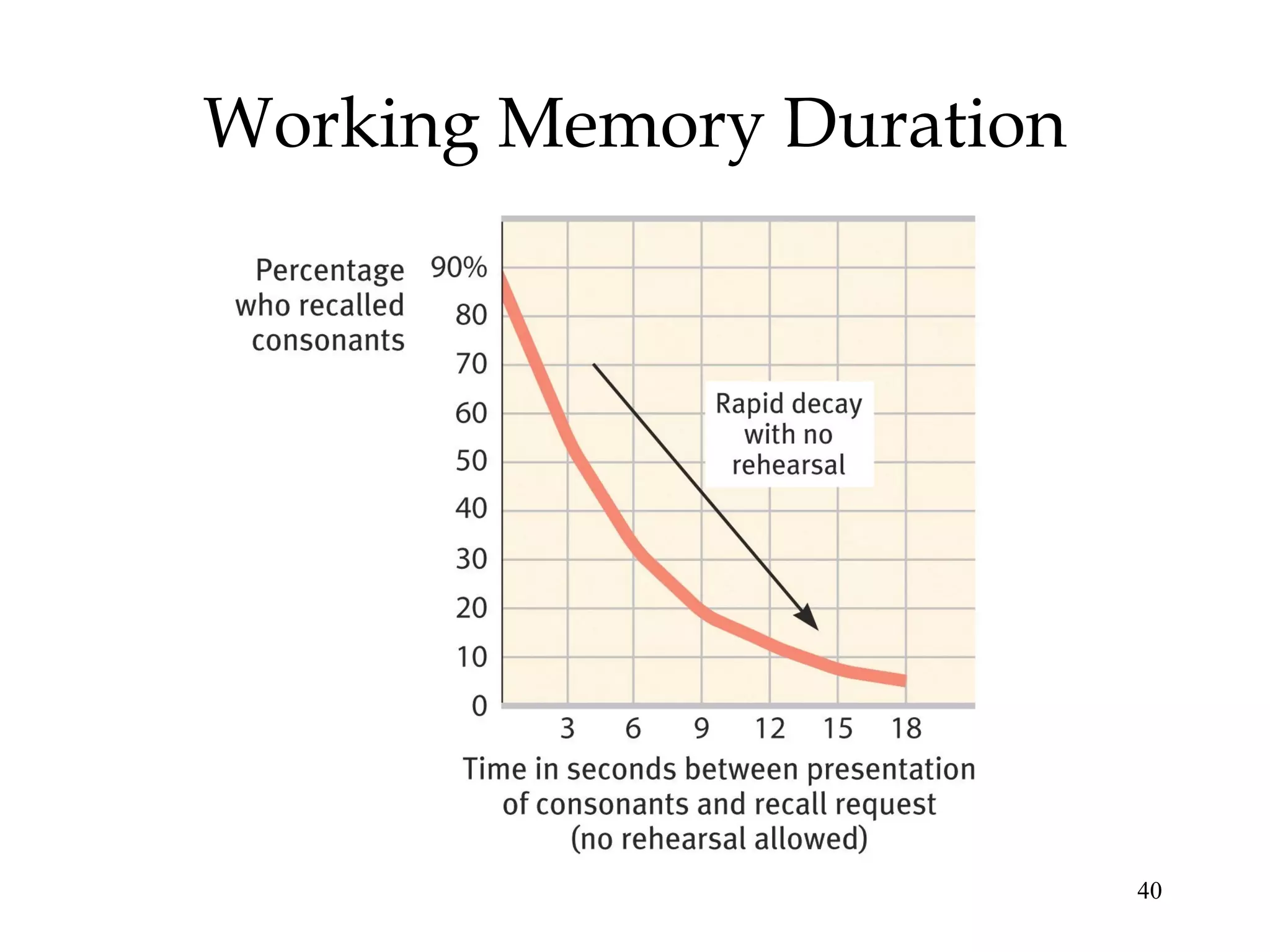 40
Working Memory Duration
 