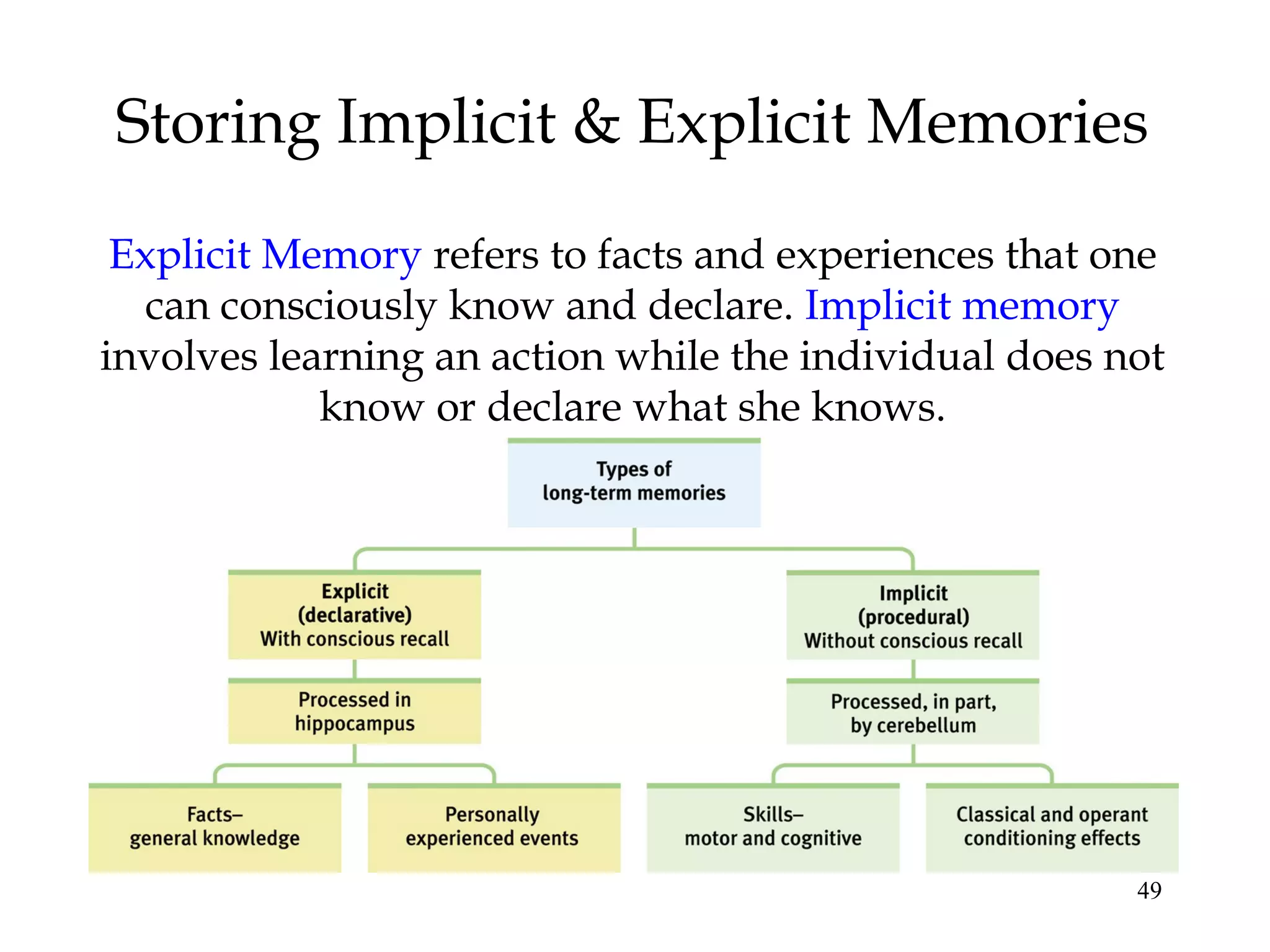 49
Storing Implicit & Explicit Memories
Explicit Memory refers to facts and experiences that one
can consciously know and declare. Implicit memory
involves learning an action while the individual does not
know or declare what she knows.
 