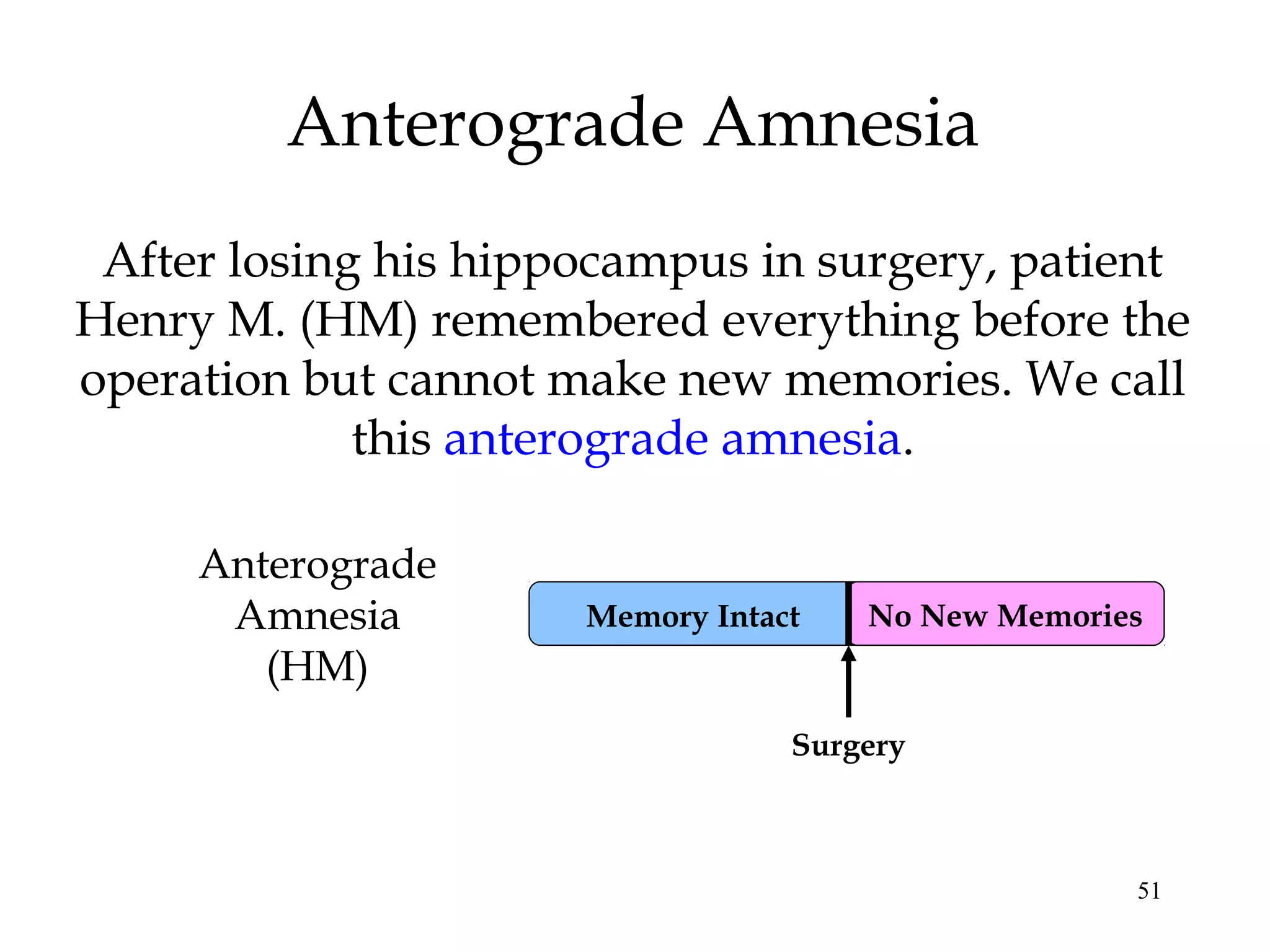 51
No New Memories
Anterograde Amnesia
Anterograde
Amnesia
(HM)
Surgery
After losing his hippocampus in surgery, patient
Henry M. (HM) remembered everything before the
operation but cannot make new memories. We call
this anterograde amnesia.
Memory Intact
 