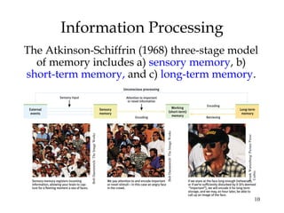 10
Information Processing
The Atkinson-Schiffrin (1968) three-stage model
of memory includes a) sensory memory, b)
short-term memory, and c) long-term memory.
BobDaemmrich/TheImageWorks
BobDaemmrich/TheImageWorks
FrankWartenberg/PicturePress/
Corbis
 