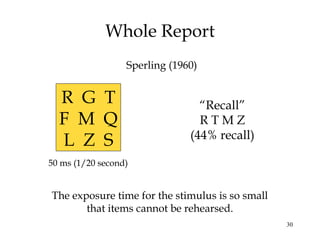 30
Whole Report
The exposure time for the stimulus is so small
that items cannot be rehearsed.
R G T
F M Q
L Z S
50 ms (1/20 second)
“Recall”
R T M Z
(44% recall)
Sperling (1960)
 
