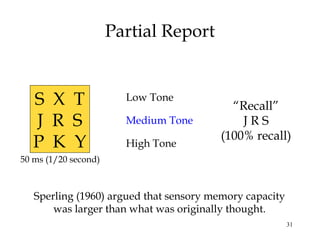 31
Partial Report
Low Tone
Medium Tone
High Tone
“Recall”
J R S
(100% recall)
Sperling (1960) argued that sensory memory capacity
was larger than what was originally thought.
50 ms (1/20 second)
S X T
J R S
P K Y
 