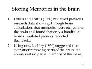 45
Storing Memories in the Brain
1. Loftus and Loftus (1980) reviewed previous
research data showing, through brain
stimulation, that memories were etched into
the brain and found that only a handful of
brain stimulated patients reported
flashbacks.
2. Using rats, Lashley (1950) suggested that
even after removing parts of the brain, the
animals retain partial memory of the maze.
 