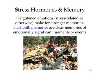 48
Stress Hormones & Memory
Heightened emotions (stress-related or
otherwise) make for stronger memories.
Flashbulb memories are clear memories of
emotionally significant moments or events
ScottBarbour/GettyImages
 