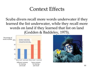 60
Context Effects
Scuba divers recall more words underwater if they
learned the list underwater, while they recall more
words on land if they learned that list on land
(Godden & Baddeley, 1975).
FredMcConnaughey/PhotoResearchers
 