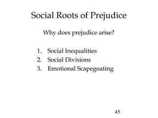 45
Social Roots of Prejudice
Why does prejudice arise?
1. Social Inequalities
2. Social Divisions
3. Emotional Scapegoating
 