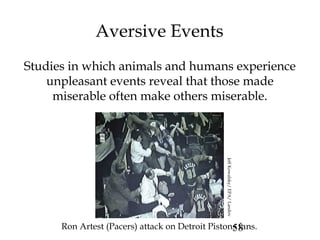 58
Aversive Events
Studies in which animals and humans experience
unpleasant events reveal that those made
miserable often make others miserable.
Ron Artest (Pacers) attack on Detroit Pistons fans.JeffKowalsky/EPA/Landov
 
