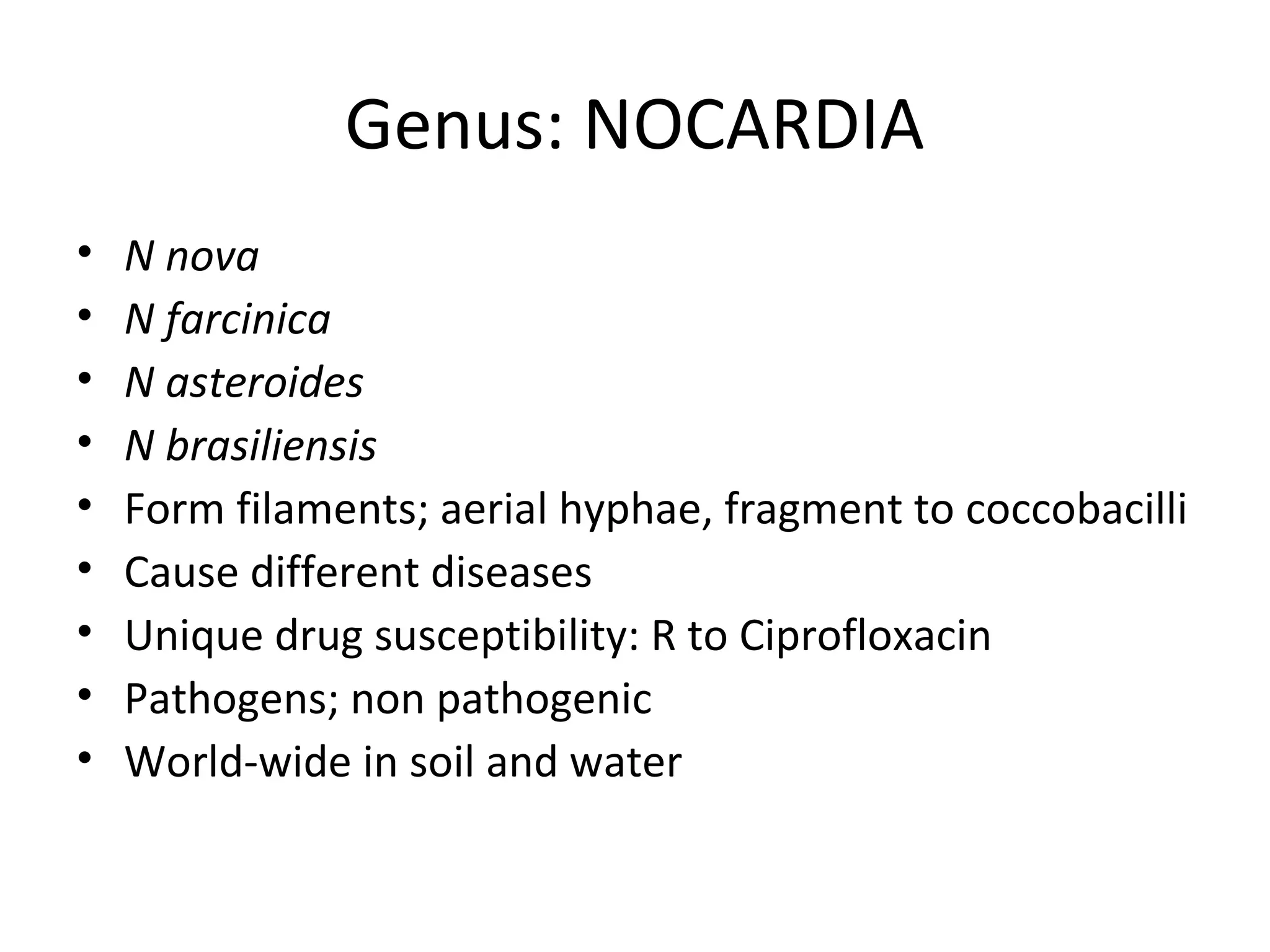 Genus: NOCARDIA
• N nova
• N farcinica
• N asteroides
• N brasiliensis
• Form filaments; aerial hyphae, fragment to coccobacilli
• Cause different diseases
• Unique drug susceptibility: R to Ciprofloxacin
• Pathogens; non pathogenic
• World-wide in soil and water
 