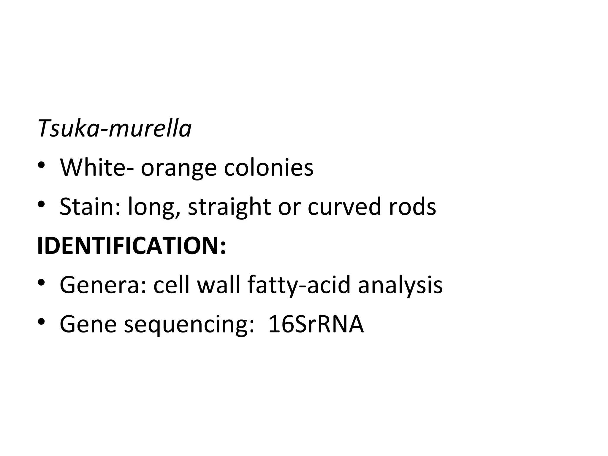 Tsuka-murella
• White- orange colonies
• Stain: long, straight or curved rods
IDENTIFICATION:
• Genera: cell wall fatty-acid analysis
• Gene sequencing: 16SrRNA
 