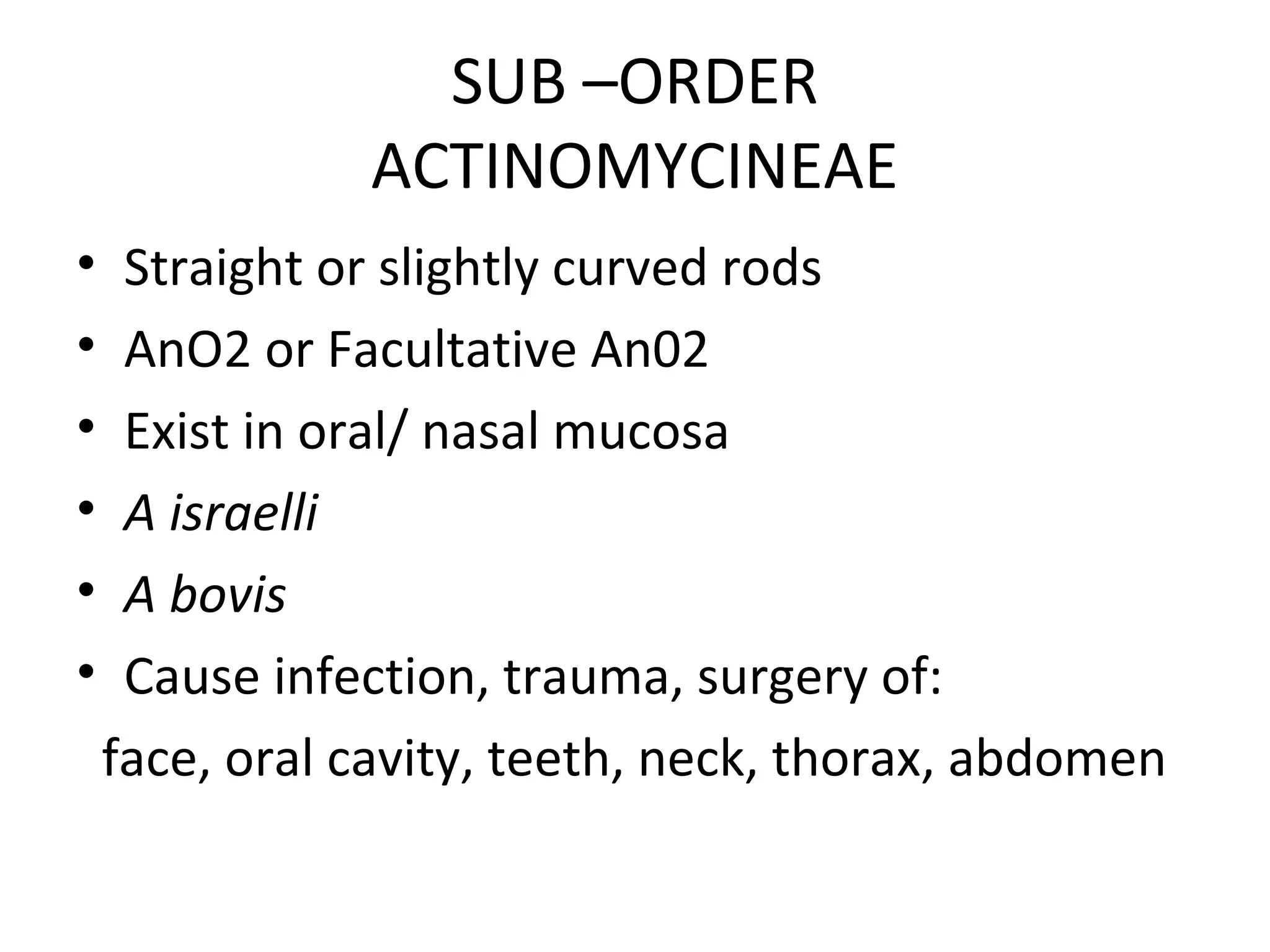 SUB –ORDER
ACTINOMYCINEAE
• Straight or slightly curved rods
• AnO2 or Facultative An02
• Exist in oral/ nasal mucosa
• A israelli
• A bovis
• Cause infection, trauma, surgery of:
face, oral cavity, teeth, neck, thorax, abdomen
 