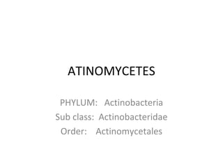 ATINOMYCETES
PHYLUM: Actinobacteria
Sub class: Actinobacteridae
Order: Actinomycetales
 