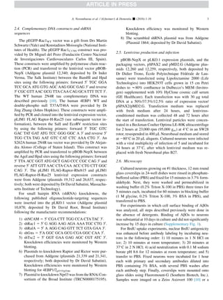 2.4. Complementary DNA constructs and shRNA
sequences
The pEGFP-Rac1WT vector was a gift from Drs Martin
Schwartz (Yale) and Konstadinos Moissoglu (National Insti-
tutes of Health). The pEGFP Rac1C178S construct was pro-
vided by Dr Miguel del Pozo (Fundacion Centro Nacional
de Investigaciones Cardiovasculares Carlos III, Spain).
These constructs were ampliﬁed by polymerase chain reac-
tion (PCR) and transferred to the lentiviral vector pBOB-
NepX (Addgene plasmid 12,340; deposited by Dr Inder
Verma, The Salk Institute) between the BamHI and HpaI
sites using the following primers: forward 50
TGC GGA
TCC GCA ATG GTG AGC AAG GGC GAG 30
and reverse
50
CGC GTTAAC GCG TTA CAA CAG GCATTT TCT 30
.
The WT human 2N4R tau complementary DNA was
described previously [10]. The human 4EBP1 WT and
double-phospho null T37A/T46A were provided by Dr
Jing Zhang (Johns Hopkins). These constructs were ampli-
ﬁed by PCR and cloned into the lentiviral expression vector,
pLJM1 FLAG Raptor-H-Ras25 (see subsequent vector in-
formation), between the SalI and EcoRV restriction sites
by using the following primers: forward 50
TGC GTC
GAC TAT GAT ATG TCC GGG GGC A 30
and reverse 50
TGG CTA TAG AAT GTC CAT CTC AAA CTG 30
. An
S262A human 2N4R tau vector was provided by Dr Alejan-
dra Alonso (College of Staten Island). This construct was
ampliﬁed by PCR and transferred to pBOB-NepX between
the AgeI and HpaI sites using the following primers: forward
50
TTA ACC GGT ATG GCT GAG CCC CGC CAG 30
and
reverse 50
ATT GTT AAC CTA CAA ACC CTG CTT GGC
CAG 30
. The pLJM1 FLAG-Raptor-Rheb15 and pLJM1
FLAG-Raptor-H-Ras25 lentiviral expression constructs
were from Addgene (plasmids 19,312 and 26,637, respec-
tively; both were deposited by Dr David Sabatini, Massachu-
setts Institute of Technology).
For small hairpin RNA (shRNA) knockdowns, the
following published oligonucleotide-targeting sequences
were inserted into the pLKO.1 vector (Addgene plasmid
10,878; deposited by Dr David Root, Broad Institute)
following the manufacturer recommendations:
1) shNCAM 5 50
CGA CTT TGG CCA CTA TAC 30
.
2) shRac1 5 50
G AGG AAG AGA AAA TGC CTG 30
.
3) shRalA 5 50
A AGG CAG GTT TCT GTA GAA 30
.
4) shGas 5 50
A GGC GCA GCG CGA GGC CAA 30
.
5) shTsc2 5 50
GGT GAA GAG AGC CGT ATC 30
.
Knockdown efﬁciencies were monitored by Western
blotting.
6) Plasmids to knockdown Raptor and Rictor were pur-
chased from Addgene (plasmids 21,339 and 21,341,
respectively; both deposited by Dr David Sabatini).
Knockdown efﬁciencies were monitored by Western
blotting for 4EBP1/2pT37/pT46.
7) Plasmid to knockdown Nprl3 was from the RNAi Con-
sortium of the Broad Institute (TRCN0000175195).
Knockdown efﬁciency was monitored by Western
blotting.
8) The scrambled shRNA plasmid was from Addgene
(Plasmid 1864; deposited by Dr David Sabatini).
2.5. Lentivirus production and infection
pBOB-NepX or pLKO.1 expression plasmids, and the
packaging vectors, pSPAX2 and pMD2.G (Addgene plas-
mids 12,260 and 12,259, respectively, both deposited by
Dr Didier Trono, Ecole Polytechnique Federale de Lau-
sanne) were transfected using Lipofectamine 2000 (Life
Technologies) into HEK293T cells grown in 15 cm Petri
dishes to w80% conﬂuence in Dulbecco’s MEM (Invitro-
gen) supplemented with 10% HyClone cosmic calf serum
(GE Healthcare). Each transfection was with 30 mg total
DNA at a 50%/37.5%/12.5% ratio of expression vector/
pSPAX2/pMD2.G. Transfection medium was replaced
with fresh medium after 24 hours, and lentivirus-
conditioned medium was collected 48 and 72 hours after
the start of transfection. Lentiviral particles were concen-
trated in a Beckman Coulter Optima LE-80K ultracentrifuge
for 2 hours at 23,000 rpm (95,000 gav) at 4
C in an SW28
rotor, resuspended in 400 mL Neurobasal medium and stored
at 280
C in 20 mL aliquots. Cultured neurons were infected
with a viral multiplicity of infection of 5 and incubated for
24 hours at 37
C, after which lentiviral medium was re-
placed with fresh Neurobasal plus B27.
2.6. Microscopy
Cultured neurons growing on #1 thickness, 12 mm round
glass coverslips in 24-well dishes were rinsed in phosphate-
buffered saline (PBS) and ﬁxed for 15 minutes in 3.7% form-
aldehyde. Next, they were washed and permeabilized in
washing buffer (0.2% Triton X-100 in PBS) three times for
5 minutes each, incubated for 60 minutes in blocking buffer
(1 M glycine, 0.2% Triton X-100, 3% BSA in PBS), and
transferred to PBS.
For experiments in which cell surface binding of AbOs
was analyzed, all steps described previously were done in
the absence of detergents. Binding of AbOs to neurons
was substantial at 10 days in culture and did not signiﬁcantly
increase by 15 days in culture (Supplementary Fig. 1).
For BrdU uptake experiments, nuclear BrdU antigenicity
was enhanced before antibody labeling by incubating neu-
rons in the following order: 1) 10 minutes in 1 N HCl on
ice; 2) 10 minutes at room temperature; 3) 20 minutes at
37
C in 2 N HCl; 4) acid neutralization with 0.1 M sodium
borate pH 8.6 for 12 minutes at room temperature; and 5)
transfer to PBS. Fixed neurons were incubated for 1 hour
each with primary and secondary antibodies diluted into
PBS containing 3% BSA, with several PBS washes after
each antibody step. Finally, coverslips were mounted onto
glass slides using Fluoromount-G (Southern Biotech, Inc.).
Samples were imaged on a Zeiss Axiovert 100 [10] or a
A. Norambuena et al. / Alzheimer’s  Dementia - (2016) 1-16 3
 
