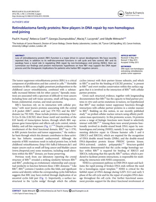 AUTHOR’S VIEW
Retinoblastoma family proteins: New players in DNA repair by non-homologous
end-joining
Paul H. Huanga
, Rebecca Cooka,b
, Georgia Zoumpoulidoua
, Maciej T. Luczynskia
, and Sibylle Mittnachta,b
a
The Institute of Cancer Research, Division of Cancer Biology, Chester Beatty Laboratories, London, UK; b
Cancer Cell Signalling, UCL Cancer Institute,
University College London, London, UK
ARTICLE HISTORY
Received 15 May 2015
Revised 17 May 2015
Accepted 18 May 2015
ABSTRACT
Loss of retinoblastoma protein (RB1) function is a major driver in cancer development. We have recently
reported that, in addition to its well-documented functions in cell cycle and fate control, RB1 and its
paralogs have a novel role in regulating DNA repair by non-homologous end joining (NHEJ). Here we
summarize our ﬁndings and present mechanistic hypotheses on how RB1 may support the DNA repair
process and the therapeutic implications for patients who harbor RB1-negative cancers.
KEYWORDS
DNA repair; non-homologous
end-joining; retinoblastoma
protein; tumor suppressor
The tumor suppressor retinoblastoma protein (RB1) is a critical
component of proliferation and fate control in cells.1,2
Heritable
mutations in RB1 cause a highly penetrant predisposition to the
childhood cancer retinoblastoma, combined with a substan-
tially increased lifetime risk for other cancers.3
Sporadic muta-
tions are associated with a spectrum of difﬁcult-to-treat cancers
including bone and soft tissue sarcoma, small cell lung cancer,
breast, endometrial, ovarian, and renal carcinoma.
RB1’s functions rely on its interaction with cellular pro-
teins,4
with most known proteins associating with the central
A-B pocket (RB1P
; amino acid [aa] 379-792) and the RB1C
domain (aa 792-928). These include proteins containing a Leu-
X-Cys-X-Glu (LXCXE) short linear motif and members of the
E2F family of transcription factors, through which RB1 sup-
presses gene transcription and effects cell cycle control, mitotic
ﬁdelity, and cell fate responses (Fig. 1).5-10
Despite evidence for
involvement of the third functional domain, RB1N
(aa 1-379),
in RB1 protein function and tumor suppression,11
the molecu-
lar basis through which this domain contributes to these activi-
ties has hitherto remained undiscovered. Although the
majority of RB1 mutations result in radical protein loss, in both
childhood retinoblastoma (http://rb1-lsdb.d-lohmann.de/) and
major cancers such as small cell lung cancer and bladder cancer
(www.cbioportal.com) some mutations, including small altera-
tions within the RB1N
domain, are frame preserving.
Previous work from our laboratory reporting the crystal
structure of RB1N
revealed a striking similarity between RB1N
and RB1P
, predicting an evolutionary relationship and concep-
tual similarity in function between these 2 RB1 domains.12
Like
RB1P
, RB1N
contains 2 tandem cyclin-like folds, and signiﬁcant
amino acid identity within the corresponding cyclin fold helices
suggests that RB1 may have evolved through duplication of an
ancestral cyclin fold pair (Fig. 1). Importantly, a surface iso-
structural to the ‘cyclin wedge’ through which the cellular
cyclins interact with their partner kinase subunits, and which
in RB1P
is used for the binding of LXCXE proteins,7
is present
in RB1N
and overt residue conservation within this surface sug-
gests that it is involved in the interaction of RB1N
with cellular
partner proteins.
Given such structural evidence, together with longstanding
documentation that RB1N
has the capacity to bind partner pro-
teins in vitro and carries mutations in tumors, we hypothesized
that RB1N
may mediate tumor suppressor functions through
interactions with cellular partner proteins in a similar manner
to RB1P
. Building on this notion, in our recently published
study13
we probed cellular nuclear extracts using afﬁnity puriﬁ-
cation mass spectrometry. In this proteomic screen, 34 proteins
across a range of biologic functions were found to selectively
interact with RB1N
.13
Among them were several proteins func-
tionally involved in double-strand break DNA repair by non-
homologous end joining (NHEJ), namely X-ray repair comple-
menting defective repair in Chinese hamster cells 5 and 6
(XRCC5 and XRCC6), which are required for the recognition
of DNA double strand breaks (DSBs), and the double-strand
DNA-dependent protein kinase PRKDC (protein kinase,
DNA-activated, catalytic polypeptide).14
Structure-guided
mutations demonstrated that the cyclin wedge homology sur-
face within RB1N
is required for binding of XRCC5 and
XRCC6, indicating that this speciﬁc RB1N
surface, which is pre-
dicted to facilitate protein interactions, is responsible for medi-
ating the interaction with NHEJ components.
NHEJ is a prominent pathway in DSB DNA repair and facil-
itates the rapid joining of broken DNA ends without the need
for a homologous repair template.15
NHEJ is critical for the
faithful repair of DNA damage during GAP1 (G1) and early S
phase of the cell cycle and for the repair of complex DNA dam-
age throughout the cell cycle. Our further functional assess-
ment provides support for the direct functional involvement of
CONTACT Sibylle Mittnacht s.mittnacht@ucl.ac.uk; Paul H. Huang paul.huang@icr.ac.uk
© 2016 Taylor & Francis Group, LLC
MOLECULAR & CELLULAR ONCOLOGY
2016, VOL. 3, NO. 2, e1053596 (3 pages)
http://dx.doi.org/10.1080/23723556.2015.1053596
 