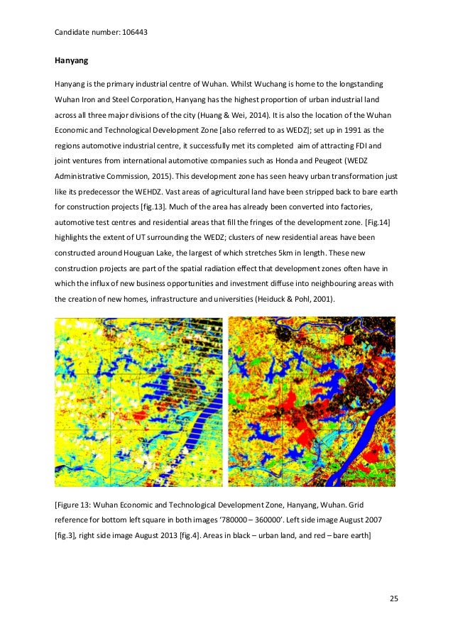 Dissertation environmental impact assessment