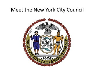 Meet the New York City Council
 