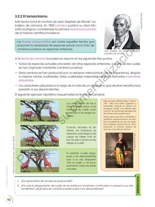 Prohibida
su
reproducción
88
3.2.2 El lamarckismo
Esta teoría toma el nombre de Jean Baptiste de Monet, ca-
ballero de Lamarck. En 1809 Lamarck publicó su obra Filo-
sofía zoológica, considerada la primera teoría evolucionista
de la historia científica moderna.
A la teoría de Lamarck la podemos resumir en los siguientes tres puntos:
• Todas las especies actuales proceden de otras especies anteriores, a partir de las cuales
se han originado mediante cambios sucesivos.
• Estos cambios se han producido por un esfuerzo intencionado de los organismos, dirigido
a mejorar ciertas cualidades. Estas cualidades mejoradas serán los llamados caracteres
adquiridos.
• Los caracteres adquiridos a lo largo de la vida de un organismo que resultan beneficiosos
pasarán a sus descendientes.
El siguiente ejemplo hipotético esquematiza la teoría de Lamarck:
Las teorías evolucionistas son todas aquellas teorías que
proponen la diversidad de especies actual como fruto de
cambios sucesivos en especies anteriores.
Los antecesores de las ji-
rafas actuales serían unos
animales de cuello corto
parecidos a los okapis ac-
tuales.
Cuando escasea el ali-
mento, los individuos se
esfuerzan para llegar a las
capas de follaje más al-
tas. De esta manera se les
alarga el cuello.
El carácter «cuello largo»
pasa a los descendientes
que, a su vez, alargarán
más el cuello, y así suce-
sivamente hasta las jirafas
actuales.
7. ¿Por qué la teoría de Lamarck es evolucionista?
8. ¿Por qué el alargamiento del cuello de las jirafas por el esfuerzo continuado no pasará a sus des-
cendientes? ¿Qué tipos de cambios pueden pasar a los descendientes?
Félix de Azara (Barbuñales, Huesca,
1742 - 1821) fue militar, ingeniero y
naturalista. Durante su destino en
Paraguay, realizó una extensa des-
cripción de centenares de especies
de la fauna de aquella zona.
Azara, igual que otros naturalistas y
científicos predarwinianos, se plan-
teó la posibilidad de que las espe-
cies pudiesen evolucionar. Su obra,
traducida al francés, parece ser
que fue conocida por Darwin.
Jean Baptiste de Monet (1744-1829),
caballero de Lamarck.
https://goo.gl/AF9j7S
http://goo.gl/qV0Vop
Actividades
Edebe.
Biología
y
Geología.
Colección
Talentia
ía de Lamarck es evolucionista? 4. ¿Por qué el alargamiento del cuello de las jirafas por el es-
fuerzo continuado no pasará a sus descendientes? ¿Qué
tipos de cambios pueden pasar a los descendientes?
ACTIVIDADES
ckismo
ombre de Jean Baptiste de Monet, caballero de Lamarck. En
ó su obra Filosofía zoológica, considerada la primera teoría
storia científica moderna.
se puede resumir en los siguientes tres puntos:
ctuales proceden de otras especies anteriores, a partir de las
ado mediante cambios sucesivos.
n producido por un esfuerzo intencionado de los organismos,
rtascualidades.Estascualidadesmejoradasseránlosllamados
os.
iridos a lo largo de la vida de un organismo que resultan be-
sus descendientes.
hipotético esquematiza la teoría de Lamarck:
Jean Baptiste de Monet (1744-1829), caballero
de Lamarck.
FÍJATE
Félix de Azara (Barbuñales, Huesca,
1742-1821) fue militar, ingeniero y na-
turalista. Durante su destino en Para-
guay, realizó una extensa descripción
de centenares de especies de la fau-
na de aquella zona.
Azara, igual que otros naturalistas y
científicos predarwinianos, se planteó
la posibilidad de que las especies pu-
diesenevolucionar. Suobra,traducida
alfrancés,pareceserquefueconocida
por Darwin.
nistassontodasaquellasteoríasqueproponenladiversidad
como fruto de cambios sucesivos en especies anteriores.
las jirafas actuales
de cuello corto pa-
actuales.
limento, los indivi-
ra llegar a las capas
eestamaneraseles
rgo» pasa a los des-
vez, alargarán más
ivamente hasta las
171
Origen y evolución de las especies
ría de Lamarck es evolucionista? 4. ¿Por qué el alargamiento del cuello de las jirafas por el es-
fuerzo continuado no pasará a sus descendientes? ¿Qué
tipos de cambios pueden pasar a los descendientes?
ACTIVIDADES
ckismo
ombre de Jean Baptiste de Monet, caballero de Lamarck. En
có su obra Filosofía zoológica, considerada la primera teoría
istoria científica moderna.
k se puede resumir en los siguientes tres puntos:
ctuales proceden de otras especies anteriores, a partir de las
ado mediante cambios sucesivos.
n producido por un esfuerzo intencionado de los organismos,
ertascualidades.Estascualidadesmejoradasseránlosllamados
os.
iridos a lo largo de la vida de un organismo que resultan be-
a sus descendientes.
hipotético esquematiza la teoría de Lamarck:
Jean Baptiste de Monet (1744-1829), caballero
de Lamarck.
FÍJATE
Félix de Azara (Barbuñales, Huesca,
1742-1821) fue militar, ingeniero y na-
turalista. Durante su destino en Para-
guay, realizó una extensa descripción
de centenares de especies de la fau-
na de aquella zona.
Azara, igual que otros naturalistas y
científicos predarwinianos, se planteó
la posibilidad de que las especies pu-
diesenevolucionar. Suobra,traducida
alfrancés,pareceserquefueconocida
por Darwin.
onistassontodasaquellasteoríasqueproponenladiversidad
como fruto de cambios sucesivos en especies anteriores.
las jirafas actuales
s de cuello corto pa-
actuales.
alimento, los indivi-
ara llegar a las capas
Deestamaneraseles
rgo» pasa a los des-
u vez, alargarán más
sivamente hasta las
171
Origen y evolución de las especies
a de Lamarck es evolucionista? 4. ¿Por qué el alargamiento del cuello de las jirafas por el es-
fuerzo continuado no pasará a sus descendientes? ¿Qué
tipos de cambios pueden pasar a los descendientes?
ACTIVIDADES
kismo
mbre de Jean Baptiste de Monet, caballero de Lamarck. En
ó su obra Filosofía zoológica, considerada la primera teoría
storia científica moderna.
se puede resumir en los siguientes tres puntos:
tuales proceden de otras especies anteriores, a partir de las
do mediante cambios sucesivos.
producido por un esfuerzo intencionado de los organismos,
rtascualidades.Estascualidadesmejoradasseránlosllamados
os.
ridos a lo largo de la vida de un organismo que resultan be-
sus descendientes.
ipotético esquematiza la teoría de Lamarck:
Jean Baptiste de Monet (1744-1829), caballero
de Lamarck.
FÍJATE
Félix de Azara (Barbuñales, Huesca,
1742-1821) fue militar, ingeniero y na-
turalista. Durante su destino en Para-
guay, realizó una extensa descripción
de centenares de especies de la fau-
na de aquella zona.
Azara, igual que otros naturalistas y
científicos predarwinianos, se planteó
la posibilidad de que las especies pu-
diesenevolucionar.Suobra,traducida
alfrancés,pareceserquefueconocida
por Darwin.
nistassontodasaquellasteoríasqueproponenladiversidad
omo fruto de cambios sucesivos en especies anteriores.
as jirafas actuales
de cuello corto pa-
ctuales.
imento, los indivi-
ra llegar a las capas
eestamaneraseles
go» pasa a los des-
vez, alargarán más
vamente hasta las
171
Origen y evolución de las especies
P
r
o
h
i
b
i
d
a
s
u
c
o
m
e
r
c
i
a
l
i
z
a
c
i
ó
n
 