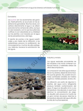 Prohibida
su
reproducción
104
Veamos cómo contaminan el agua las diversas actividades humanas:
https://goo.gl/1HnhJp
http://goo.gl/ui4Oa2
Ganadería
Indsutria y minería
Los purines son los excrementos del gana-
do. Habitualmente, se acumulan en las ex-
plotaciones ganaderas. Muchas veces, son
vertidos directamente al agua o se utilizan
para abonar los campos de cultivo, aunque
no sea necesario, con lo que las sustancias
nutritivas no son absorbidas en su totalidad
por las plantas y son lavadas por el agua
de las precipitaciones y del riego.
El aporte de purines a las aguas superfi-
ciales y, por medio de la infiltración, a las
subterráneas provoca la proliferación de
microorganismos, muchos de ellos patóge-
nos. Además, favorece la eutrofización de
las aguas.
Las aguas residuales procedentes de
las industrias y las minas contienen sus-
tancias tóxicas y materiales sólidos de
difícil descomposición.
La composición de estas aguas residua-
les es muy diversa, depende de la indus-
tria que las genera. Así, pueden encon-
trarse cantidades variables de materia
orgánica, metales pesados, ácidos, etc.
La utilización, por parte de algunas in-
dustrias, del agua como refrigerante
produce también contaminación del
agua. El agua es devuelta al río a una
temperatura más elevada, lo que hace
disminuir la concentración de oxíge-
no disuelto; esto provoca la muerte de
un gran número de peces. Además, la
temperatura elevada del agua dificulta
la vida de muchas especies.
P
r
o
h
i
b
i
d
a
s
u
c
o
m
e
r
c
i
a
l
i
z
a
c
i
ó
n
 