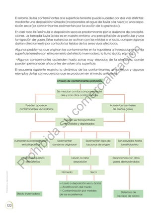 Prohibida
su
reproducción
122
El retorno de los contaminantes a la superficie terrestre puede suceder por dos vías distintas:
mediante una deposición húmeda (incorporados al agua de lluvia o la nieve) o una depo-
sición seca (los contaminantes sedimentan por la acción de la gravedad).
En casi toda la Península la deposición seca es predominante por la ausencia de precipita-
ciones. La llamada lluvia ácida es en nuestro entorno una precipitación de partículas y una
fumigación de gases. Estas sustancias se activan con las nieblas o el rocío, aunque algunas
dañan directamente por contacto los tejidos de los seres vivos afectados.
Algunos problemas que originan los contaminantes en la troposfera al interaccionar con la
superficie terrestre son el incremento del efecto invernadero, la lluvia ácida, el smog...
•Algunos contaminantes ascienden hasta zonas muy elevadas de la atmósfera, donde
pueden permanecer años antes de volver a la superficie.
El esquema siguiente muestra la dinámica de los contaminantes atmosféricos y algunos
ejemplos de las consecuencias que se producen en el medio ambiente.
Emisión de contaminantes primarios
Se mezclan con los componentesdel
aire y con otros contaminantes
Pueden aparecer
contaminantes secundarios
Aumentan los niveles
de ciertos gases
Pueden ser transportados,
difundidos y dispersados
Aumentan su concentración
en la troposfera
Sedimentan
donde se originaron
Sedimentan lejos de
las zonas de origen
Son elevados hasta
la estratosfera
Alteran el equilibrio
atmósferico
Llevan a cabo
deposición
Reaccionan con otros
gases, destruyéndolos
Húmeda Seca
Efecto invernadero
Deterioro de
la capa de ozono
— Lluvia o deposición seca, ácida
— Acidificación del medio
— Contaminación por metales
de los ecosistemas
P
r
o
h
i
b
i
d
a
s
u
c
o
m
e
r
c
i
a
l
i
z
a
c
i
ó
n
 