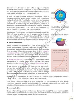 Prohibida
su
reproducción
125
La destrucción del ozono se concentra en algunas zonas de
la estratosferacercanas a los polos, en especial en la Antárti-
da, en el polo Sur, donde se ha comprobado que se forma un
gran agujero durante algunas épocas del año.
El libre paso de la radiación ultravioleta a través de la atmós-
fera puede afectar gravemente a los seres vivos, ya que esta
radiación altera el DNA celular.De hecho, se ha comprobado
un preocupante aumento del cáncer de piel en poblaciones
cercanas a la zona del agujero de la capa de ozono en el
hemisferio Sur. Muchos países de la Unión Europea, entre los
que se encuentra España, acordaron en 1995 la prohibición
del uso industrial y doméstico de estas sustancias.
Mediante el Programa Mundial de las Naciones Unidas (PNU-
MA), este organismo ha sido uno de los que más han impulsa-
do esta medida. Hoy en día casi no se utilizan CFC, pero como
son moléculas muy estable que permanecen durante años en
la atmósfera, su efecto seguirá produciéndose a largo plazo.
El efecto invernadero
Algunos gases, como el vapor de agua y el dióxido de carbono,
absorbena radiación infrarroja que la Tierra emite, impidiendo
que escape al espacio. Esta radiación retenida hace ascender
la temperatura del planeta, produciendo el llamado efecto in-
vernadero natural. Las actividades humanas aumentan la con-
centración de estos gases, denominados gases de efecto inver-
nadero, hecho que provoca un recalentamiento del planeta.
El dióxido de carbono (CO2
) es el principal responsable de este
recalentamiento, aunque existen otros gases que causan este
efecto, como los CFC, el metano (CH4
) y el óxido nitroso (N2
O).
El aumento en la emisión de CO2
va unido a la disminución
de la masa forestal, debido a los incendios y a la tala para
la instalación de infraestructuras como vías de comunicación
y zonas urba nizadas. El efecto que puede producir a largo
plazo el incremento de todos estos gases es el ascenso de la
Ruta que siguen los CFC desde
su emisión hasta su concentra-
ción en las zonas polares.
Gases contaminantes que pro-
vocan el efecto invernadero.
temperatura, que produciría un cambio climático. Todavía no se ha establecido definitiva-
mente cómo nos afectará este aumento de la temperatura.
Parece que la respuesta puede venir del estudio de los cambios climáticos en el tiempo
geológico, especialmente los del cuaternario. Por esta razón la geología del cuaternario
estudia qué factores causaron los cambios climáticos pasados.
El cambio climático
Según el Panel Intergubernamental sobre el Cambio Climático (IPPC) en su informe de 2007,
si se mantiene el ritmo de emisiones de gases invernadero, la temperatura media global del
planeta podría incrementarse para el año 2100 entre 2 y 5 °C.
Corrientes
descendentes
Corrientes
descendentes
CH4
14%
CO2
55%
NO2
7%
CFC 23%
Corrientes
ascendentes
Emisión de
contaminantes Zona árida
Zona antártica
Ecuador
Capa de ozono
Concentración de CO2
en la atmósfera (en ppm)
350
340
330
320
310
300
1900 1920 1940 1950 1980 2000
P
r
o
h
i
b
i
d
a
s
u
c
o
m
e
r
c
i
a
l
i
z
a
c
i
ó
n
 