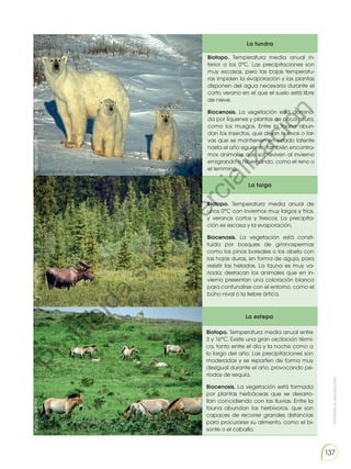 Prohibida
su
reproducción
137
Biotopo. Temperatura media anual in-
ferior a los 0°C. Las precipitaciones son
muy escasas, pero las bajas temperatu-
ras impiden la evaporación y las plantas
disponen del agua necesaria durante el
corto verano en el que el suelo está libre
de nieve.
Biocenosis. La vegetación está domina-
da por líquenes y plantas de poca altura,
como los musgos. Entre la fauna abun-
dan los insectos, que dejan huevos o lar-
vas que se mantienen en estado latente
hasta el año siguiente; también encontra-
mos animales que sobreviven al invierno
emigrando o hibernando, como el reno o
el lemming.
La tundra
Biotopo. Temperatura media anual de
unos 0°C con inviernos muy largos y fríos,
y veranos cortos y frescos. La precipita-
ción es escasa y la evaporación,
Biocenosis. La vegetación está consti-
tuida por bosques de gimnospermas
como los pinos boreales o los abeto con
las hojas duras, en forma de aguja, para
resistir las heladas. La fauna es muy va-
riada; destacan los animales que en in-
vierno presentan una coloración blanca
para confundirse con el entorno, como el
búho nival o la liebre ártica.
La taiga
Biotopo. Temperatura media anual entre
3 y 16°C. Existe una gran oscilación térmi-
ca, tanto entre el día y la noche como a
lo largo del año. Las precipitaciones son
moderadas y se reparten de forma muy
desigual durante el año, provocando pe-
ríodos de sequía.
Biocenosis. La vegetación está formada
por plantas herbáceas que se desarro-
llan coincidiendo con las lluvias. Entre la
fauna abundan los herbívoros, que son
capaces de recorrer grandes distancias
para procurarse su alimento, como el bi-
sonte o el caballo.
La estepa
http://goo.gl/EtjQdI
http://goo.gl/07G1Nb
http://goo.gl/AT44zI
P
r
o
h
i
b
i
d
a
s
u
c
o
m
e
r
c
i
a
l
i
z
a
c
i
ó
n
 