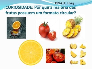 CURIOSIDADE: Por que a maioria das
frutas possuem um formato circular?
PNAIC 2014
 