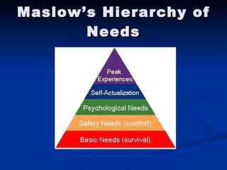 Maslow’s Hierarchy of Needs 