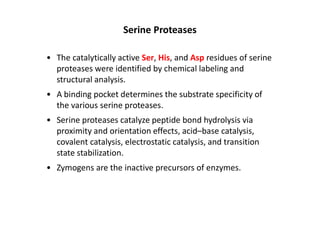 Comprehensive Overview of Enzyme Properties and Catalytic Mechanisms | PDF