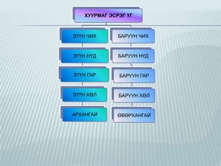 ХУУРМАГ ЭСРЭГ ҮГ

ЗҮҮН ЧИХ

БАРУУН ЧИХ

ЗҮҮН НҮД

БАРУУН НҮД

ЗҮҮН ГАР

БАРУУН ГАР

ЗҮҮН ХӨЛ

БАРУУН ХӨЛ

АРХАНГАЙ

ӨВӨРХАНГАЙ

 