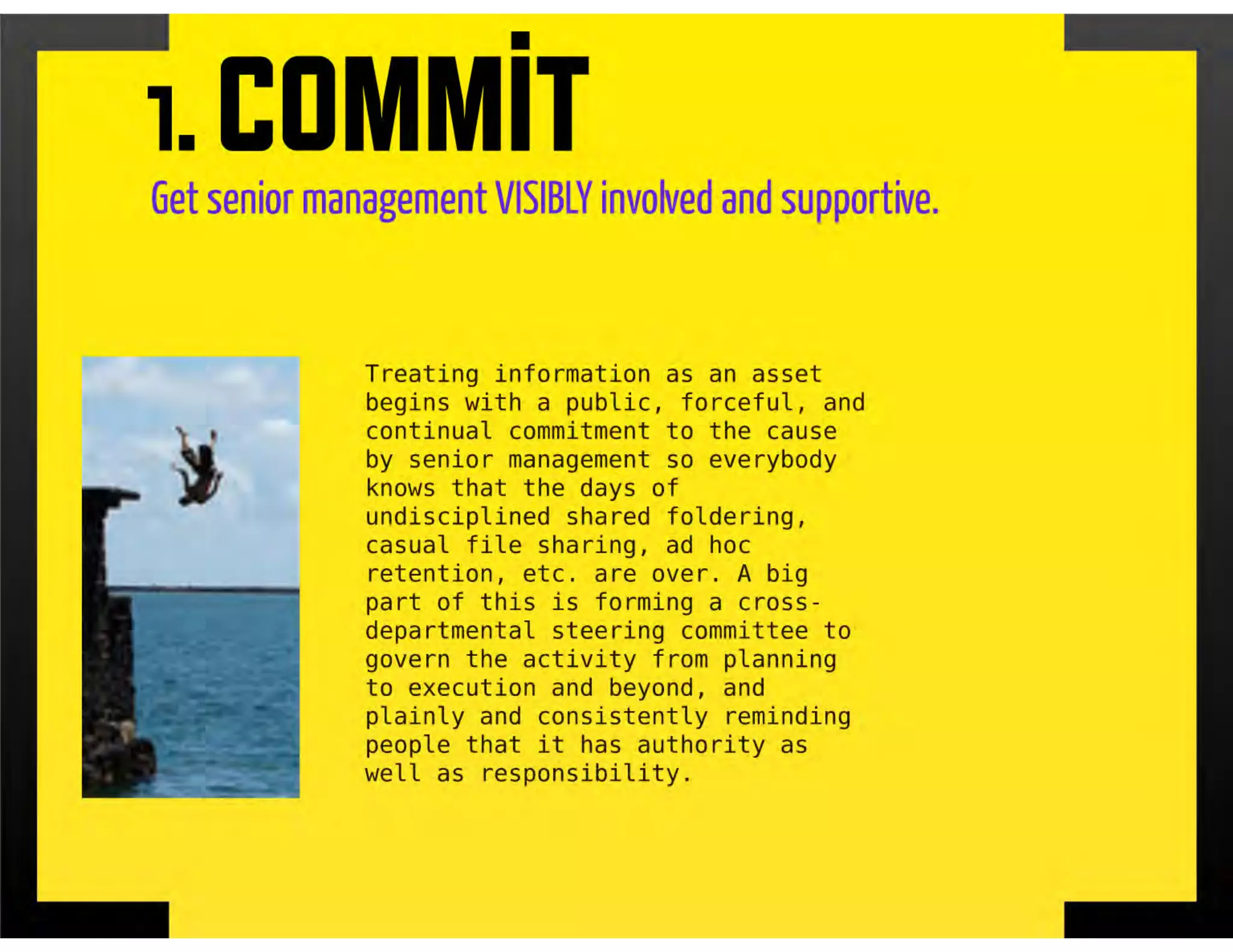 Information as an Asset: 9 Essential Steps | PPT