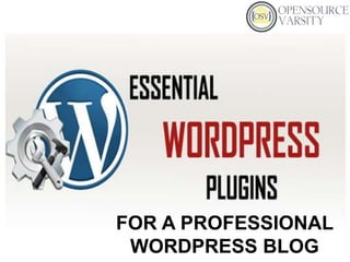 FOR A PROFESSIONAL
WORDPRESS BLOG
 