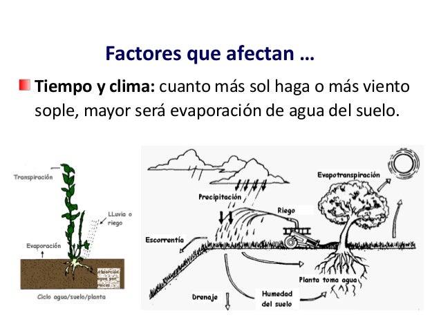 9 evapotranspiracion