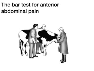Barwal Test 9 examination of digestive system | PDF