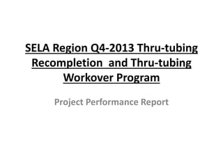 SELA Region Q4-2013 Thru-tubing
Recompletion and Thru-tubing
Workover Program
Project Performance Report
 