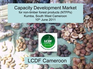 Capacity Development Market
for non-timber forest products (NTFPs)
Kumba, South West Cameroon
10th June 2011
LCDF Cameroon
 