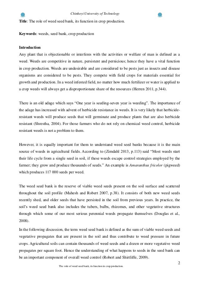spa director resume