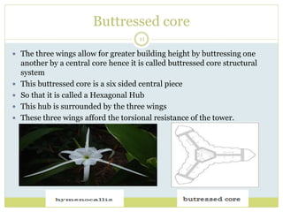 Buttressed core
11
 The three wings allow for greater building height by buttressing one
another by a central core hence it is called buttressed core structural
system
 This buttressed core is a six sided central piece
 So that it is called a Hexagonal Hub
 This hub is surrounded by the three wings
 These three wings afford the torsional resistance of the tower.
 
