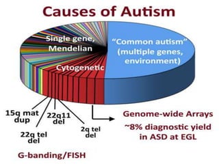 Autism Spectrum Disorder