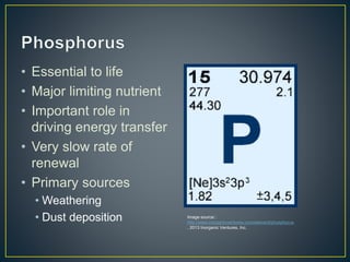 • Essential to life
• Major limiting nutrient
• Important role in
driving energy transfer
• Very slow rate of
renewal
• Primary sources
• Weathering
• Dust deposition Image source::
http://www.inorganicventures.com/element/phosphorus
. 2013 Inorganic Ventures, Inc.
 