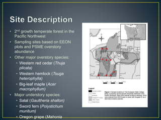 • 2nd growth temperate forest in the
Pacific Northwest
• Sampling sites based on EEON
plots and PSME overstory
abundance
• Other major overstory species:
• Western red cedar (Thuja
plicata)
• Western hemlock (Tsuga
heterophylla)
• Big-leaf maple (Acer
macrophyllum)
• Major understory species:
• Salal (Gaultheria shallon)
• Sword fern (Polystichum
munitum)
• Oregon grape (Mahonia
 