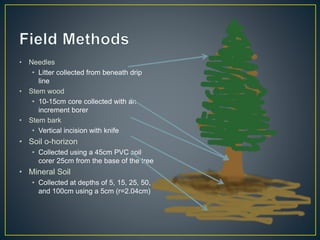 • Needles
• Litter collected from beneath drip
line
• Stem wood
• 10-15cm core collected with an
increment borer
• Stem bark
• Vertical incision with knife
• Soil o-horizon
• Collected using a 45cm PVC soil
corer 25cm from the base of the tree
• Mineral Soil
• Collected at depths of 5, 15, 25, 50,
and 100cm using a 5cm (r=2.04cm)
 