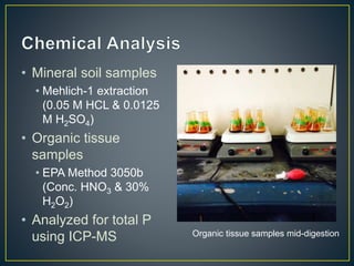 • Mineral soil samples
• Mehlich-1 extraction
(0.05 M HCL & 0.0125
M H2SO4)
• Organic tissue
samples
• EPA Method 3050b
(Conc. HNO3 & 30%
H2O2)
• Analyzed for total P
using ICP-MS Organic tissue samples mid-digestion
 