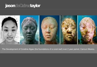 Life Cast populated with pink sponges after 18 months, Cancun Mexico.
 