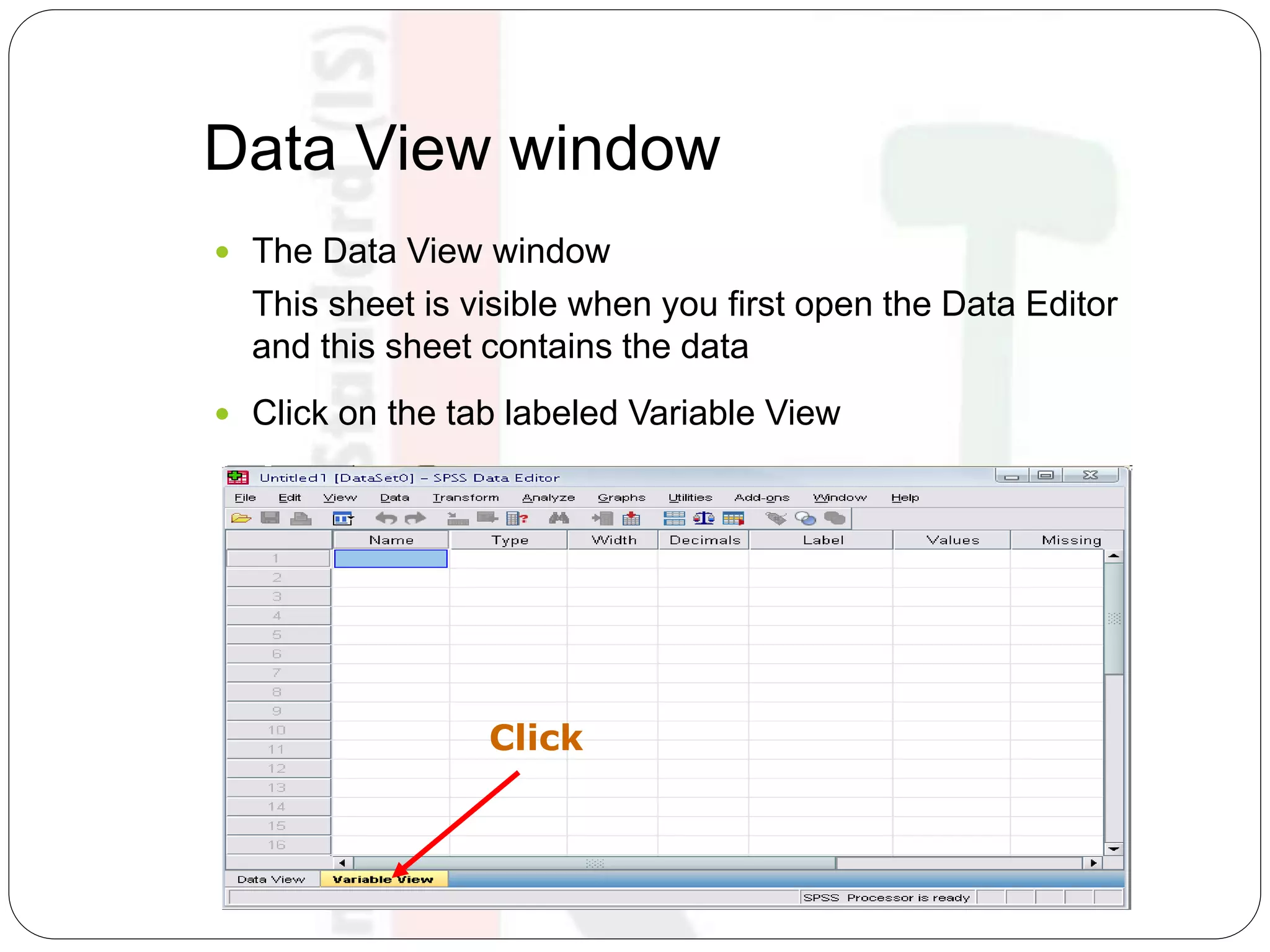 Data View window
 The Data View window
This sheet is visible when you first open the Data Editor
and this sheet contains the data
 Click on the tab labeled Variable View
Click
 